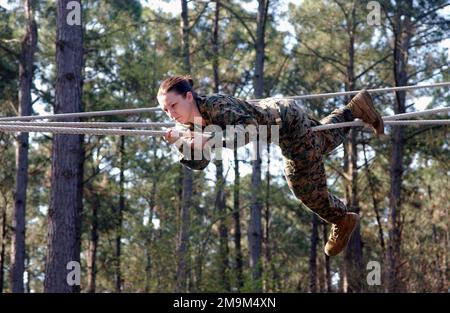 https://l450v.alamy.com/450v/2m9m4xn/us-marine-corps-recruit-marcell-kelly-from-4th-battalions-oscar-company-platoon-number-4031-goes-down-the-slide-for-life-rope-at-leatherneck-square-on-marine-corps-recruiting-depot-mcrd-parris-island-south-carolina-base-usmc-recruit-depotparris-island-state-south-carolina-sc-country-united-states-of-america-usa-2m9m4xn.jpg