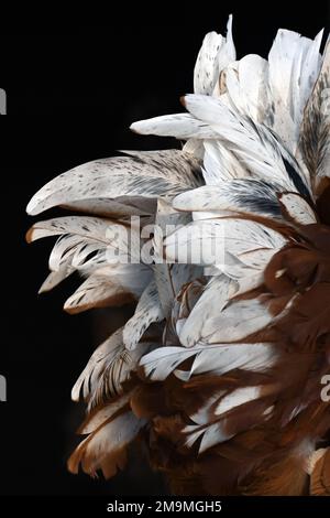 complex Stock Photo