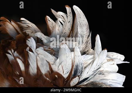 complex Stock Photo