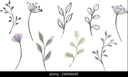 Set of graphic vector plant branches with leaves and flowers Stock ...