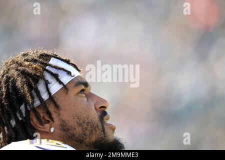 Baltimore Ravens wide receiver DeSean Jackson (15) warms up before an NFL  football game against the Jacksonville Jaguars, Sunday, Nov. 27, 2022, in  Jacksonville, Fla. (AP Photo/Gary McCullough Stock Photo - Alamy