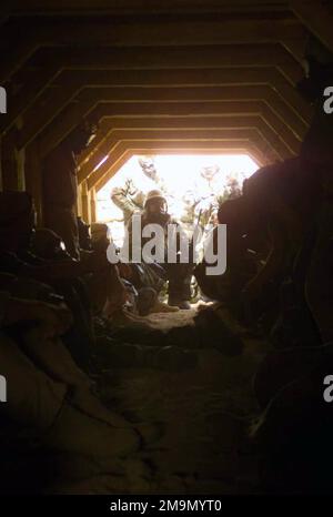 US Marine Corps (USMC) personnel from Marine Wing Support Squadron 272 (MWSS-272), take shelter in a bunker immediately after a 'Gas' alarm sounded. Subject Operation/Series: IRAQI FREEDOM Base: Camp Coyote Country: Kuwait (KWT) Stock Photo