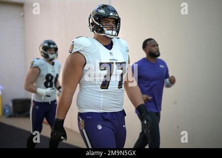 Baltimore Ravens offensive tackle Daniel Faalele (77) during the first half  of an NFL preseason football game against the Arizona Cardinals, Sunday,  Aug. 21, 2022, in Glendale, Ariz. (AP Photo/Rick Scuteri Stock