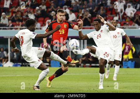 AL-RAYYAN - (LR) during the FIFA World Cup Qatar 2022 group F match between Belgium and Canada at Ahmad Bin Ali Stadium on November 23, 2022 in Al-Rayyan, Qatar. AP | Dutch Height | MAURICE OF STONE Stock Photo