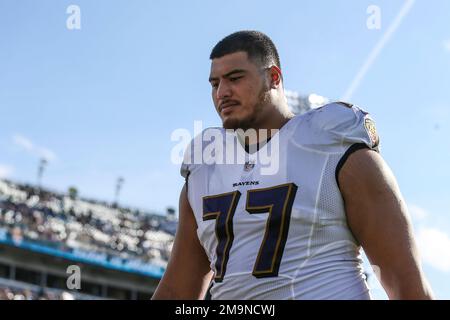 Baltimore Ravens offensive tackle Daniel Faalele (77) during the first half  of an NFL preseason football game against the Arizona Cardinals, Sunday,  Aug. 21, 2022, in Glendale, Ariz. (AP Photo/Rick Scuteri Stock