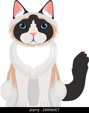 Cute cartoon ragdoll cat and kitten face vector clipart. Pedigree kitty ...