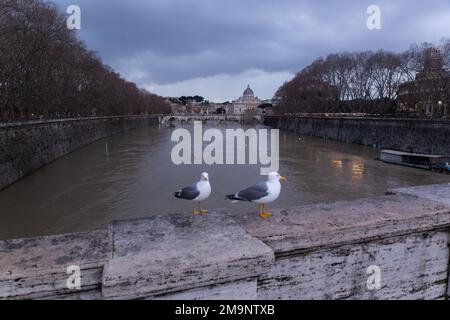 Rome, Italy. 18th Jan, 2023. Seagulls on Ponte Umberto I in Rome (Photo by Matteo Nardone/Pacific Press) Credit: Pacific Press Media Production Corp./Alamy Live News Stock Photo