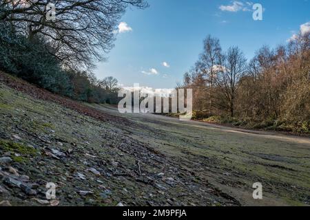 View along part of the historic banked race track at Brooklands, Surrey ...