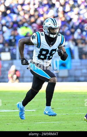 Carolina Panthers wide receiver Terrace Marshall Jr. (88) in action during  the second half of an NFL football game against the Baltimore Ravens,  Sunday, Nov. 20, 2022, in Baltimore. (AP Photo/Terrance Williams