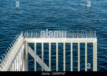 Plastic bird spikes attached to a fence on a pier with ocean background Stock Photo