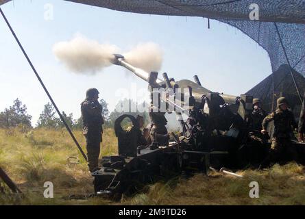 031014-M-9382M-008. At Fort Bragg, North Carolina, US Marine Corps (USMC) personnel with the 10th Marines, 2nd Marine Division, fire a 96 pound artillery round from an M198 Towed Howitzer, during Exercise ROLLING THUNDER 2003. Stock Photo