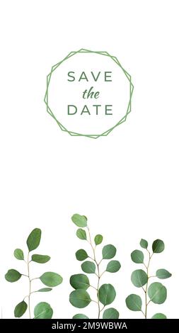 Save the date card design. Eucalyptus twigs, decorative border isolated on white background. Delicate grey green silver dollar eucalyptus leaves, copy Stock Photo