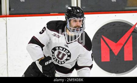 Union goaltender Connor Murphy (31) during an NCAA hockey game against  Northeastern on Saturday, Dec. 3, 2022, in Schenectady, N.Y. (AP Photo/Hans  Pennink Stock Photo - Alamy