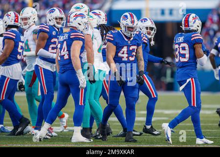 Buffalo Bills linebacker Terrel Bernard (43) celebrates after a stop during  an NFL wild-card football game Sunday, Jan. 15, 2023, in Orchard Park, NY.  (AP Photo/Matt Durisko Stock Photo - Alamy