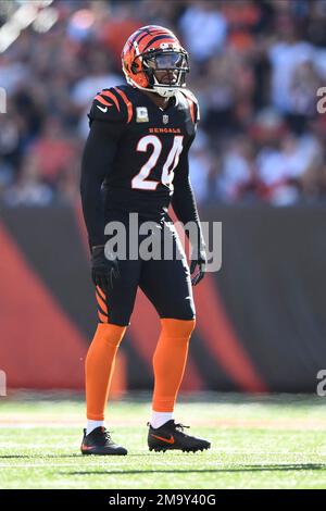 Cincinnati Bengals safety Vonn Bell (24) runs for the play during an NFL  football game against the Pittsburgh Steelers, Sunday, Nov. 28, 2021, in  Cincinnati. (AP Photo/Emilee Chinn Stock Photo - Alamy