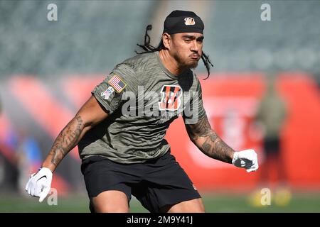 Cincinnati Bengals tight end Mitchell Wilcox (84) warms up before an NFL  football game against the Carolina Panthers, Sunday, Nov. 6, 2022, in  Cincinnati. (AP Photo/Emilee Chinn Stock Photo - Alamy