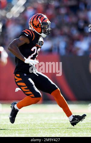 Cincinnati Bengals safety Dax Hill (23) in action as the Arizona Cardinals  played the Cincinnati Bengals in an NFL football preseason game in  Cincinnati, Friday, Aug. 12, 2022. The Cardinals won 36-23. (