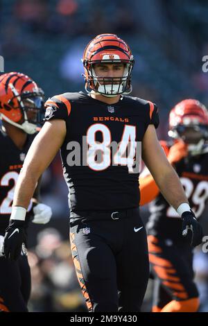 Cincinnati Bengals tight end Mitchell Wilcox (84) blocks Cleveland