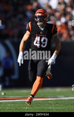 Cincinnati Bengals linebacker Joe Bachie (49) runs for the play during a  preseason NFL football game against the Green Bay Packers on Friday, Aug.  11, 2023, in Cincinnati. (AP Photo/Emilee Chinn Stock