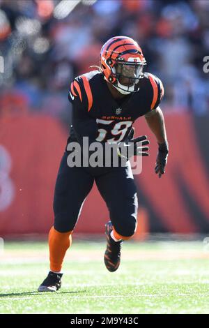 Cincinnati Bengals linebacker Akeem Davis-Gaither (59) lines up for the  play during an NFL wild-card football game against the Baltimore Ravens on  Sunday, Jan. 15, 2023, in Cincinnati. (AP Photo/Emilee Chinn Stock