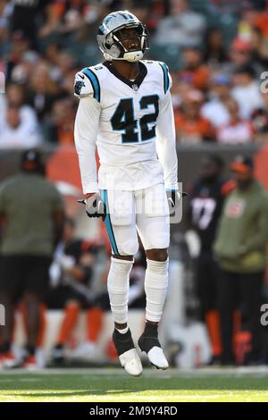 Carolina Panthers safety Sam Franklin Jr. (42) celebrates during an NFL  football game against the Cincinnati Bengals, Sunday, Nov. 6, 2022, in  Cincinnati. (AP Photo/Emilee Chinn Stock Photo - Alamy