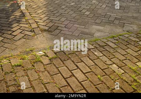 The pavement was lit by the morning sun. Grass grew from the gaps. Stock Photo