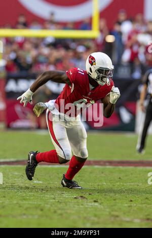 Arizona Cardinals linebacker Myjai Sanders showcases the NFL football ...