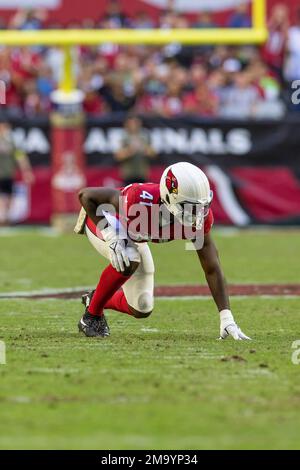 Arizona Cardinals linebacker Zaven Collins showcases the NFL football  teams' new uniforms for the 2023 season, Thursday, April 20, 2023, in  Phoenix. (AP Photo/Matt York Stock Photo - Alamy