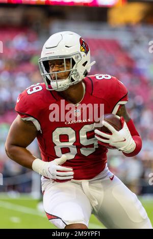 Arizona Cardinals tight end Stephen Anderson (89) warms up before