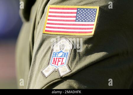 Military personnel carry the colors before the start of an NFL football  game between the Cincinnati Bengals and the Carolina Panthers during the  NFL Salute to Service, Sunday, Nov. 6, 2022, in