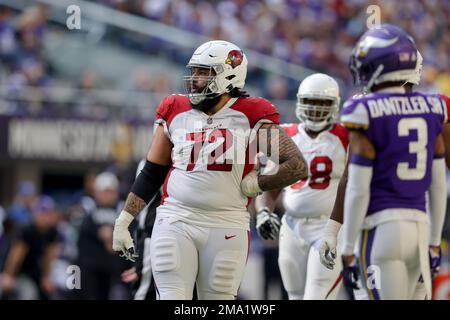 Arizona Cardinals guard Cody Ford (72) on the field during the second half  of an NFL football game against the Minnesota Vikings, Sunday, Oct. 30,  2022 in Minneapolis. (AP Photo/Stacy Bengs Stock Photo - Alamy