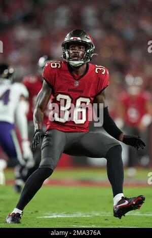 Tampa Bay Buccaneers cornerback Don Gardner (36) runs during a NFL