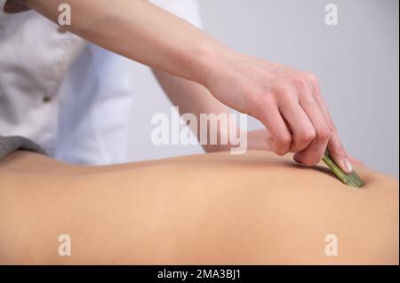 The masseur makes a back massage with a gouache scraper to a female client.  Stock Photo