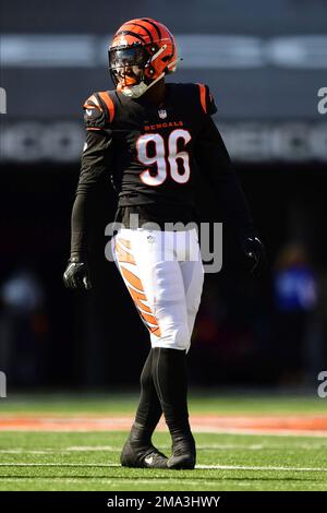 Cam Sample, Cincinnati Bengals