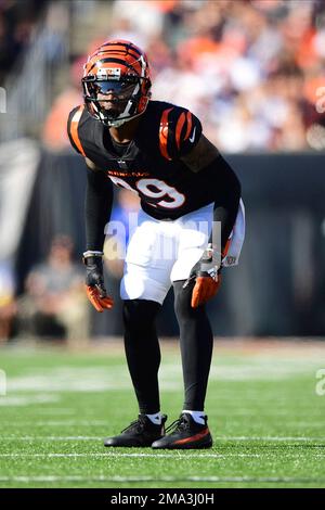 Cincinnati Bengals linebacker Germaine Pratt (57) plays during an NFL  football game against the Baltimore Ravens, Sunday, Jan. 8, 2023, in  Cincinnati. (AP Photo/Jeff Dean Stock Photo - Alamy