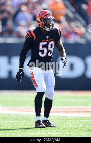 Cincinnati Bengals linebacker Akeem Davis-Gaither (59) lines up for the  play during an NFL football game against the Atlanta Falcons, Sunday, Oct.  23, 2022, in Cincinnati. (AP Photo/Emilee Chinn Stock Photo - Alamy