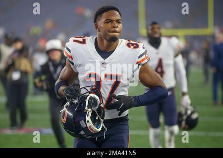 Chicago Bears safety Elijah Hicks celebrates his team's take away during an  NFL preseason football game against the Tennessee Titans Saturday, August  12, 2023, in Chicago. (AP Photo/Charles Rex Arbogast Stock Photo 