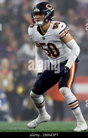 Chicago Bears linebacker Sterling Weatherford (50) walks off the field  following an NFL football game against the New England Patriots, Monday,  Oct. 24, 2022, in Foxborough, Mass. (AP Photo/Stew Milne Stock Photo - Alamy