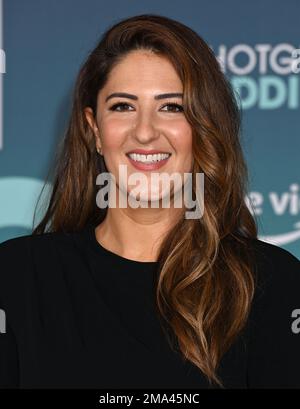 HOLLYWOOD, CA - JANUARY 18: D'Arcy Carden attends the Los Angeles