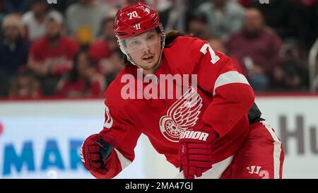 Detroit Red Wings center Oskar Sundqvist (70) skates to the bench as the  New Jersey Devils celebrate after of an NHL hockey game, Tuesday, Oct. 25,  2022, in Detroit. (AP Photo/Carlos Osorio