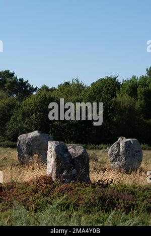 Carnac stones (megalithic sites). Kermario alignments. Commune of Carnac. Morbihan department. Brittany. France Stock Photo