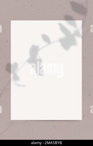Neutral color tone poster mockup vector Stock Vector