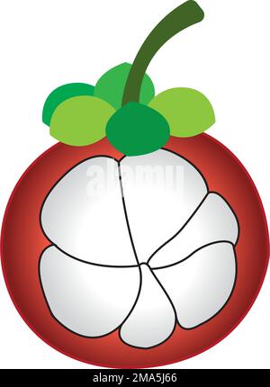 mangosteen fruit icon vector illustration template design Stock Vector