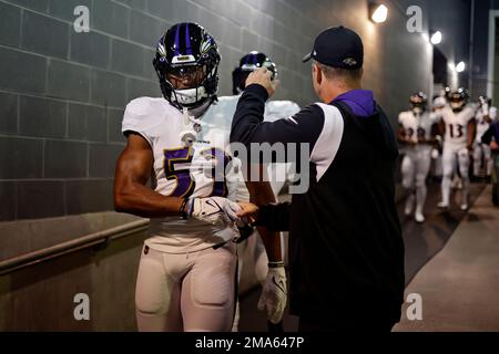 Baltimore Ravens linebacker Patrick Queen (6)walks off the field after an  NFL football game against the New York Giants Sunday, Oct. 16, 2022, in  East Rutherford, N.J. (AP Photo/Adam Hunger Stock Photo 