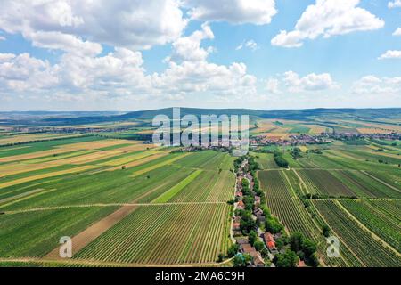 Landscape in summer with vineyards and cellar alley, borderland, Weinviertel, Hadres, Lower Austria, Austria Stock Photo