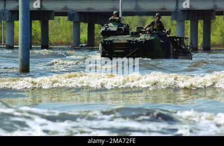 US Marine Corps (USMC) Marines, 4th Assault Amphibian Battalion (AAB), Naval Air Station (NAS) Jacksonville, Florida (FL), aboard an AAV7A1 Assault Amphibian Vehicle venture through polluted water covering the devastated neighborhoods around New Orleans looking for survivors of Katrina. The Marines, assigned to Special Purpose Marine Air-Ground Task Force (SPMAGTF) St. Bernard (named for the local Parish), along with Marines from the 1ST Battalion, 8th Marines (1/8), Camp Lejeune, California (CA), are conducting search and rescue (SAR) missions throughout the New Orleans area as part of Joint Stock Photo