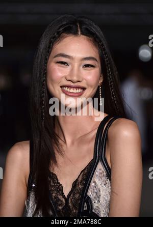 HoYeon Jung's Baby Braids at the Annual Academy Museum Gala