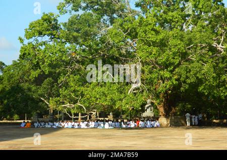 Pilgrimages observe sil at the Atmasthana. They gather together and worship the Abhayagiri stupa. The Bikkus give them sil. Sri Lanka. Stock Photo