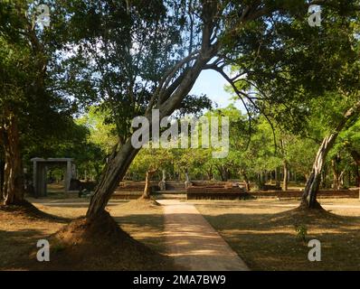 The Anuradhapura Kingdom, the first established kingdom in ancient Sri Lanka is situated in North Central Province of Sri Lanka. King Pandukabhaya in 437 BC, ruled the country based in Anuradhapura. Sri Lanka. Stock Photo