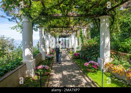 The gardens of Villa San Michele, Capri island, Italy Stock Photo